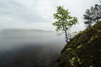 Утро / Лауватсаари