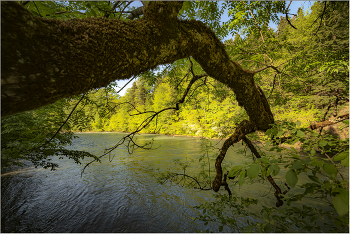 Горная река / р. Белая, Адыгея.