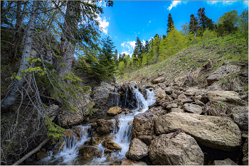 Талая вода / Адыгея, 1500 м.
