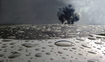 Пейзаж / Капот машины и лобовое стекло после дождя