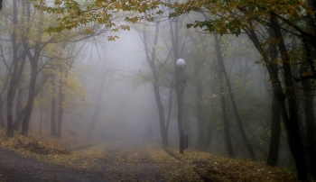 В осеннем тумане..... / Железноводск. Октябрь