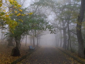 Пути туманное........ / Железноводск. Октябрь