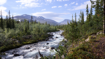 &nbsp; / Кольский полуостров, Хибины, июнь