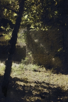 солнечный угол / б.о.