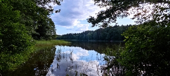 Наедине с природой / Белое озеро (д. Озеры Гродненский р-н, Гродненская обл.)