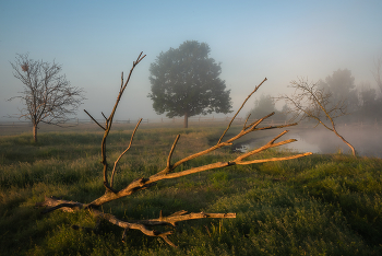 Ранним утром / Лето
