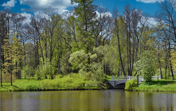 Венец весны-прекрасный май. / Пушкин,Александровский парк.
