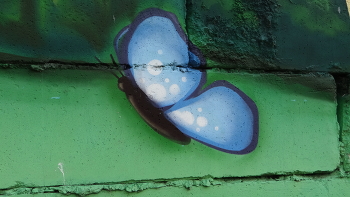 бабочка / бабочка на кирпичной стене