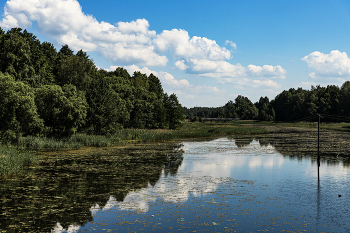р.Десна / Смоленская обл.