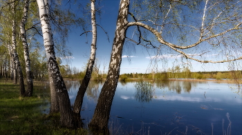 Талые воды. / 2022