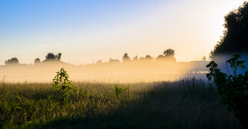 Утренний туман. / Летний рассвет в поле.