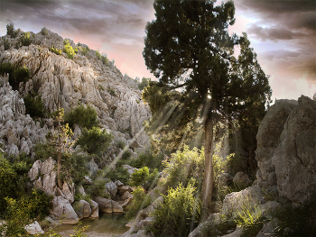 &nbsp; / Турция.