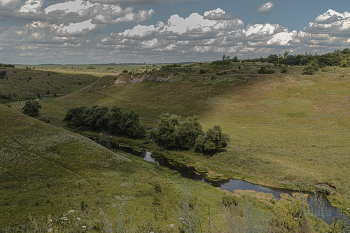 Река Воргол / Заповедник Галичья Гора