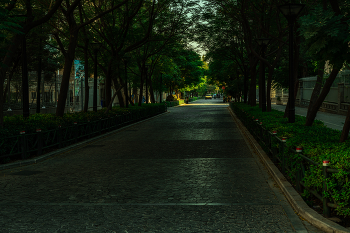&nbsp; / solitude street