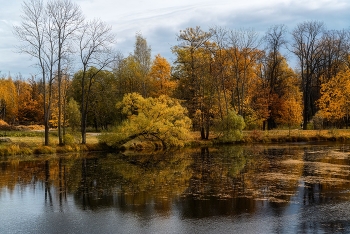 Дальние углы Александровского парка / Царское Село. Октябрь 2021