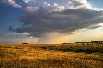 Летние ливни. / ...