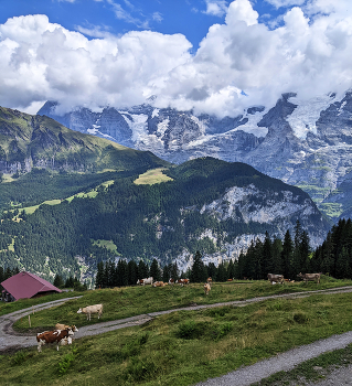 Горными тропами / Швейцария, Альпы