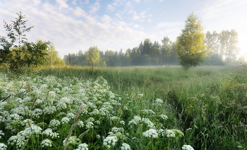 Пробуждаясь. / ***