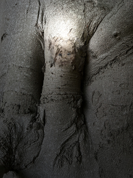 &nbsp; / Welcome to the world