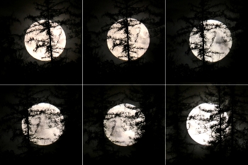 &nbsp; / die Fotos sind mit 30 bis 60 sekunden Abstand gemacht, so kann man den Lauf des Mondes erkennen