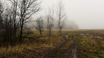 Поздняя осень ... / Осенний этюд ...