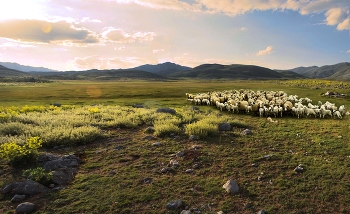 &nbsp; / Турция