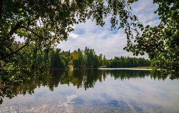 Озеро в лесу / Август 2022 года. Подмосковье, Дрезна