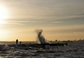 &nbsp; / ..........................................