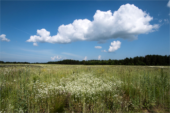 рефлексия / ---