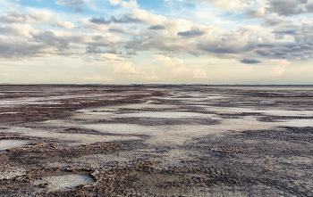 вода отступила.. / Уникальное, красивое, удивительное место .. солёное озеро Эбейты, с огромными запасами лечебных грязей .. самое большое солёное в Омской области.
объявлен памятником природы.