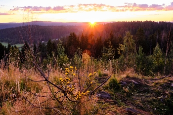 Карелия / Гора Паасо