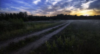 Когда ложатся туманы... / Псковская область