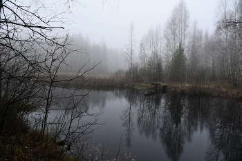 "Звенит тишина. Торжество и покой ..." / "Звенит тишина. Торжество и покой.
 Купается осень в рассвете ..."