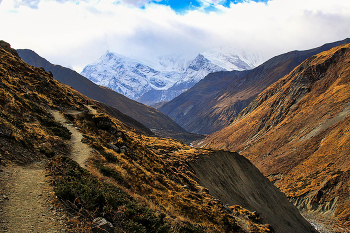 Гималаи / Непал. Подходы к перевалу Торунг Ла