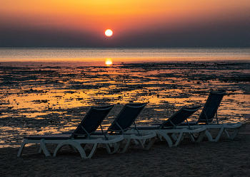 В ожидании человеков. Красное море. / Макади Бей. Египет.