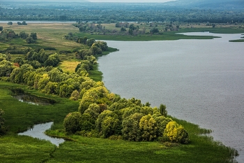 Волжские заливы / вид с горы Птичий полет,п.Козловка,Чувашия