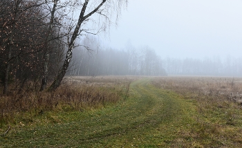 "Как быстро день за днем мелькает, как быстро лето исчезает..." / Осенний этюд ...