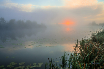 Туман и облака на рассвете. / Осень на озере Сосновое.