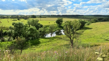 река Осётр на границе Московской и Рязанской областей / река Осётр на границе Московской и Рязанской областей
