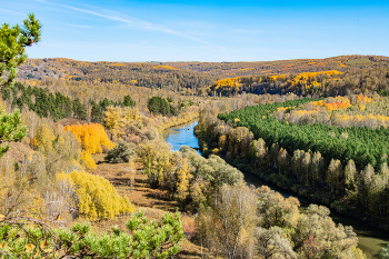 Золото осени / осень , краски осени