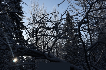 арка шоу / ____