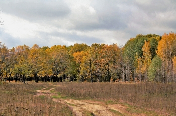 Осеннее. / &quot; &quot; &quot;