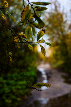 &nbsp; / Гелиос