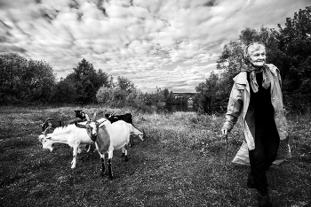 Бабушка Нина и её козы... / Сельские зарисовки...