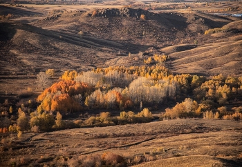 Рыжая осень / Осень