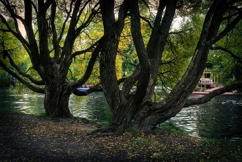 На Каменном острове / Сентябрь 2020