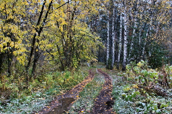 Осенний снег. / Томская область.