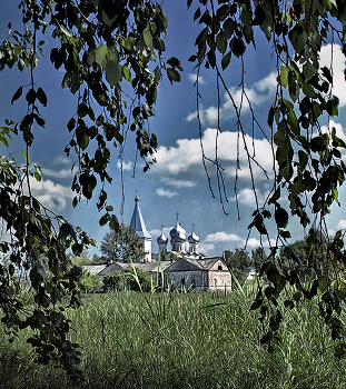 Сквозь заросли около озера... / Прогулки на Валдае...