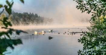 &nbsp; / morgennebel an der wehramündung