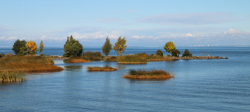 Осенняя пора / Южный берег Финского залива
